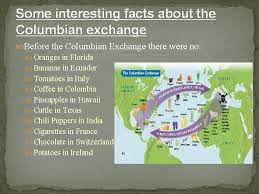 Ideas, foods, animals, religions, cultures, and the significance of the columbian exchange is that it created a lasting tie between the old and new worlds that established globalization and reshaped history itself (garcia. Columbian Exchange