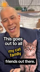 Cat grounds Ryanair flight