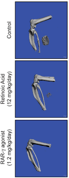 The actress attended shukutoku daigaku and studied communications, but did not graduate. Asbmr 2010 Annual Meeting Sa0001 Sa0485 2010 Journal Of Bone And Mineral Research Wiley Online Library