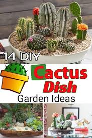 We did not find results for: 14 Diy Cactus Dish Garden Ideas Dish Garden Mini Cactus Garden Cactus