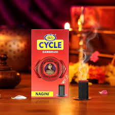 CYCLE SAMBRANI