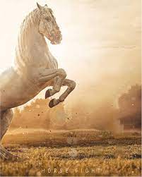 Cb Edit Background Download Free In Zip File 2020 Make the background transparent in seconds.