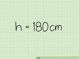 how to convert human height in centimeters to feet with