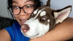 Fundraiser by Lucy Tseng : In loving memory of Kobe the husky