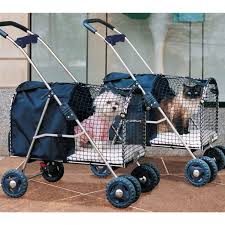 Pin Auf Tiere Unterwegs