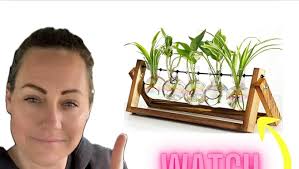 Amazon.com: XXXFLOWER Plant Terrarium with Wooden Stand, Wall Hanging Glass  Planter Tabletop Propagation Station Metal Swivel Holder Retro Rack for  Hydroponics Home Garden Office Decoration