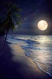 Beautiful Fantasy Tropical Beach With Milky Way Star In Night Skies Full Moon Retro Style Artwor P Nature Photography Landscape Photography Moon Photography