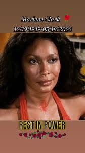 Marlene Clarke's Instagram, Twitter & Facebook