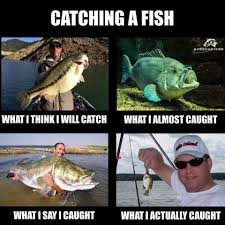 Pin By Derek Basehar On Gone Fishin Fishing Memes Funny Fishing Memes Fishing Jokes