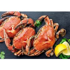 Switch to new thesaurus noun 1. Crab Nandu