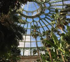 Serres royales de laeken) zijn een complex van serres bij het kasteel van laken. De Koninklijke Serres Van Laken Een Architecturaal En Tropisch Juweel Om Te Bezoeken Brusselslife Be