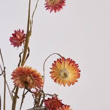 About 15% of these are decorative flowers & wreaths. Dried Flowers Botanique Workshop