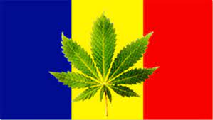 Până atunci, însă, românia pare a fi pe un culoar european de trafic de tone de droguri. Legalizarea Marijuanei In Romania Home Facebook