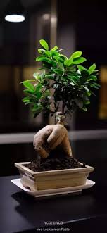 We did not find results for: 440 Ide Vivo Lockscreen Di 2021 Dinding Penahan Dexter Morgan Orphan Black