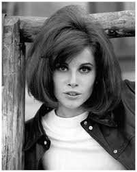 Stefanie Powers 82nd Birthday Celebration