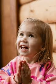 Purple Willow Photography