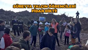 Darıca süreyya yalçın ortaokulu hakkında bilgiler, değerlendirmeler ve daha fazlası. Sureyya Yalcin Ogrencileri Fidan Dikti