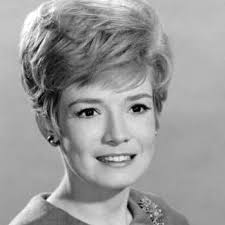 Watch Perry Mason · Season 7 Episode 17 · The Case of the Bountiful Beauty  Full Episode Free Online