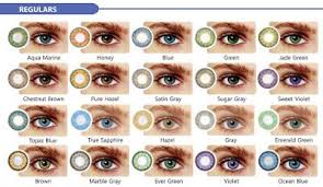 Cuci, bilas dan keringkan tangan sebelum menyentuh kontak. Softlens Mata Riasan Mata Aksesoris Mata