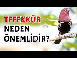 Tefekkur Neden Onemlidir Yollar Allah A Varinca Guzeldir Youtube Instagram Videos