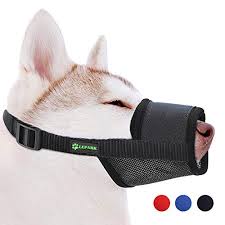 Maybe you would like to learn more about one of these? Der Richtige Maulkorb Beisskorb Fur Deinen Hund Ein Ratgeber