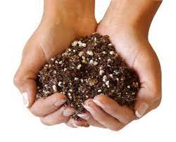Each bag contains 4qt (4.4l) of soil. 8 Best Succulent Soil Reviews What Is Best To Grow Beautiful Succulent Plants