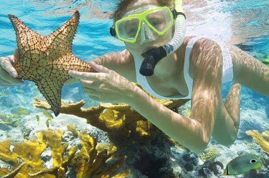 Vietnam Travel Blog | Vietnam Travel Tips | The Comprehensive Guide For  Your Trip To Vietnam