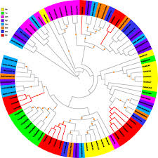 The business segments we cover are very diverse & we address the specific need of the customers. Characterization And Expression Profiling Of Atp Binding Cassette Transporter Genes In The Diamondback Moth Plutella Xylostella L Bmc Genomics Full Text