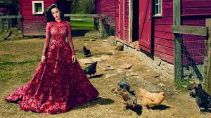 Hottest And Beautiful Katy Perry Hd Wallpapers All Hd Wallpapers Katy perry carries puppy after orlando bloom mentions her. beautiful katy perry hd wallpapers