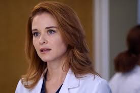 Grey's Anatomy': Sarah Drew Deserves an Emmy For Finally Making Us Love  April Kepner