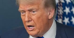 IHSAA girls basketball: Former Marian, Purdue standout returns to Danville  as new coach