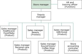 Organisations And Management Accounting View As Single Page