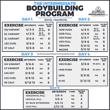 Before you say workout schedules don't work for you, take five minutes and look through these chart templates.these cover everything you might need to ensure better chances of following through—from daily and weekly workout schedules, progress charts, logs, and exercise information charts. Intermediate Bodybuilding Program Spreadsheet By Ripped Body 5 Day 2021 Lift Vault