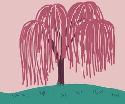 Knowing how to draw bark will speed up our process later on, when we gain an understanding of designing a tree from scratch. A Weeping Willow Tree Is Weeping Drawception