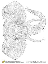 Coloriage chien mandala à imprimer sur coloriages info. Coloriage Mandala Animaux Sur Hugolescargot Com