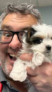 Introducing Dr. Adrian Walton