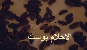 تفسير رؤية الصراصير في المنام للمرأة وللعزباء وللمتزوجة وللحامل وللرجل الاحلام بوست