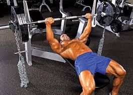 Prise De Masse Musculaire Comment Faire Toutelanutrition