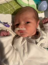 Boys growing fast in life sim game