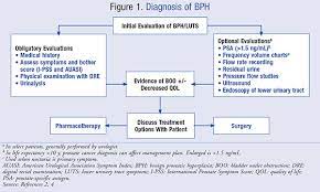 Newer drugs marketed for human males have also shown promise in treating canine bph. Guidelines For The Treatment Of Benign Prostatic Hyperplasia
