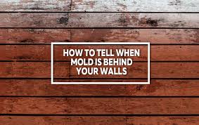 Black mold behind shower wall. How To Tell When Mold Is Behind Your Walls Your Health Matters