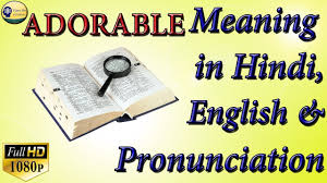 Adorable Meaning In Hindi अड रबल क मतलब ज न ए English Hindi Dictionary Shabdkosh