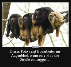 Arbeit Bauarbeiter Lustig Witzig Bild Bilder Spruch Spruche Kram Humor Bilder Lustige Bilder Katzen Witze