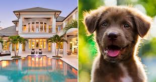Jul 21, 2021 · lindal cedar homes is the world's largest manufacturer of prefab post and beam homes made of premium western red cedar and other quality materials. Build Your Dream Home And We Ll Give You A Puppy To Live With