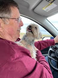 TW: Death of a pet Someone I know witnessed something tragic at Wow 4 Paws  groomer due to carelessness of the staff. My heart goes out to the family  that lost their