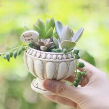 The soil mine was planted in was pulling away from the sides of the grow pot and just looked old. Christmas Gift Flower Pot Gift Box Garden Plant Pots Small Bonsai Cactus Succulent Planter Home Desk Balcony Decoration Flower Pots Planters Aliexpress