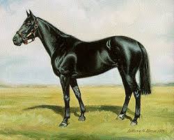 A rare black and white photograph of the great stallion nearco being led out of his specially built underground bomb shelter. Jockey Club Interactive Registration