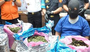Check spelling or type a new query. Bea Cukai Kualanamu Gagalkan Penyelundupan 10 6 Kg Daun Khat