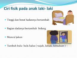 16 Gambar Poster Ciri Ciri Pubertas Gani Gambar