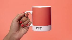 Coral tag page contains color schemes, palettes and colour combinations with coral colors. Pantone Has Crowned Living Coral As The 2019 Colour Of The Year Lifestyle News The Indian Express